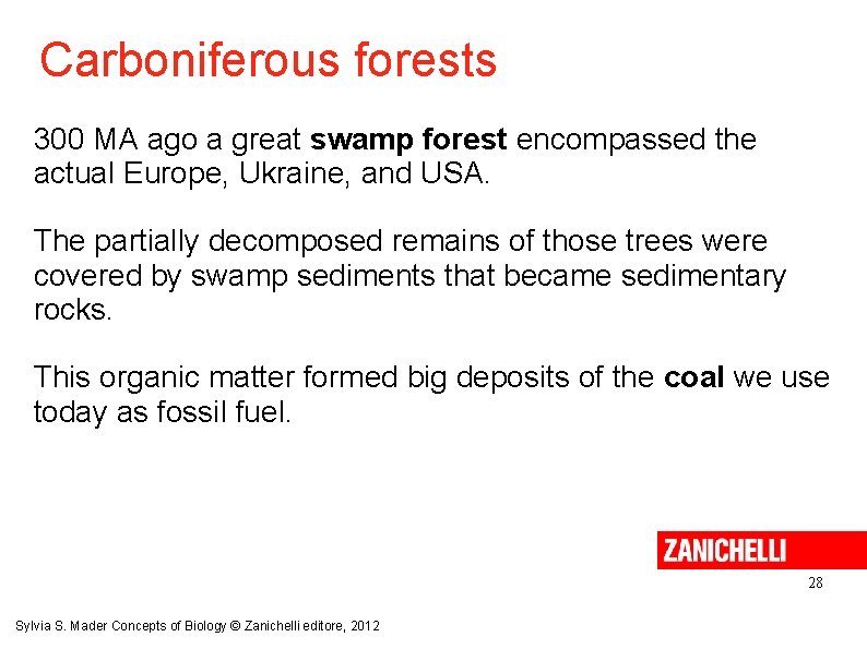 Carboniferous forests 300 MA ago a great swamp forest encompassed the actual Europe, Ukraine,