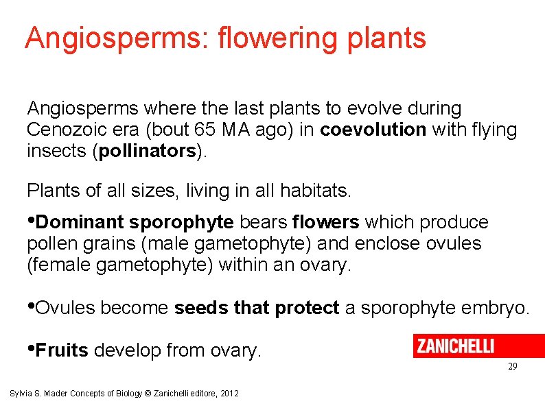 Angiosperms: flowering plants Angiosperms where the last plants to evolve during Cenozoic era (bout