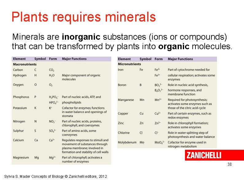 Plants requires minerals Minerals are inorganic substances (ions or compounds) that can be transformed