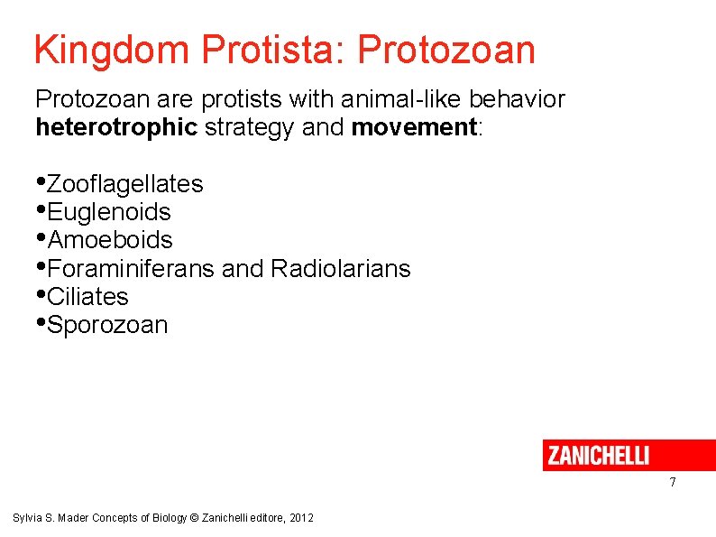 Kingdom Protista: Protozoan are protists with animal-like behavior heterotrophic strategy and movement: • Zooflagellates