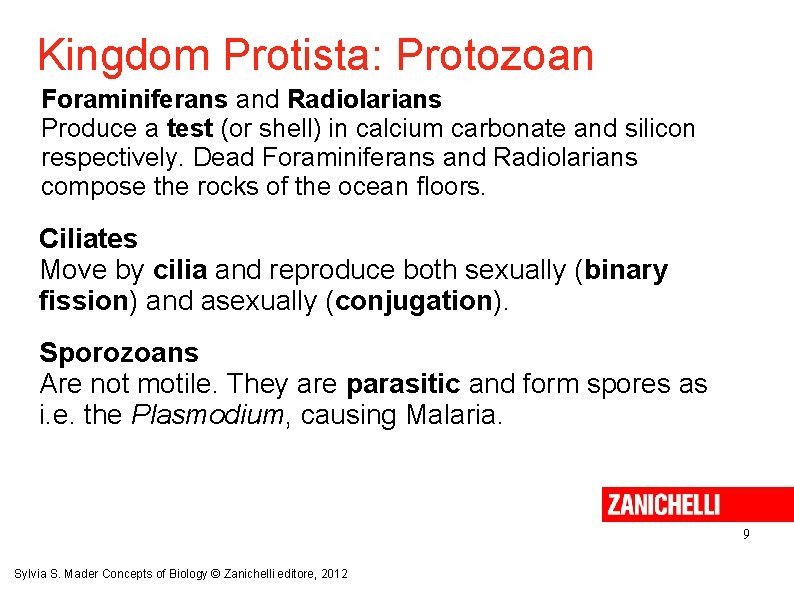 Kingdom Protista: Protozoan Foraminiferans and Radiolarians Produce a test (or shell) in calcium carbonate