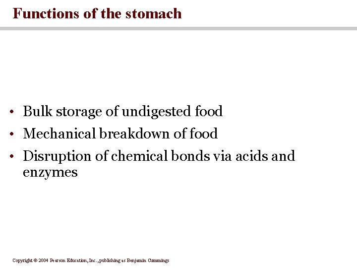 Functions of the stomach • Bulk storage of undigested food • Mechanical breakdown of