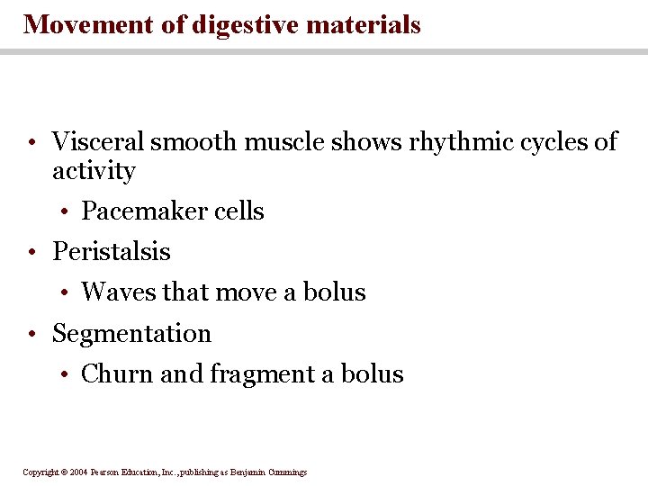 Movement of digestive materials • Visceral smooth muscle shows rhythmic cycles of activity •