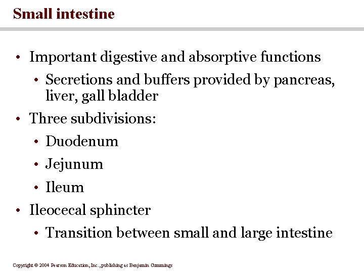 Small intestine • Important digestive and absorptive functions • Secretions and buffers provided by