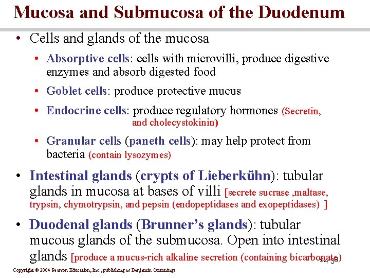 Mucosa and Submucosa of the Duodenum • Cells and glands of the mucosa •