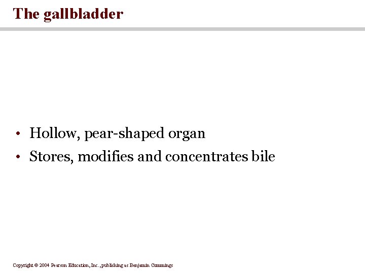 The gallbladder • Hollow, pear-shaped organ • Stores, modifies and concentrates bile Copyright ©