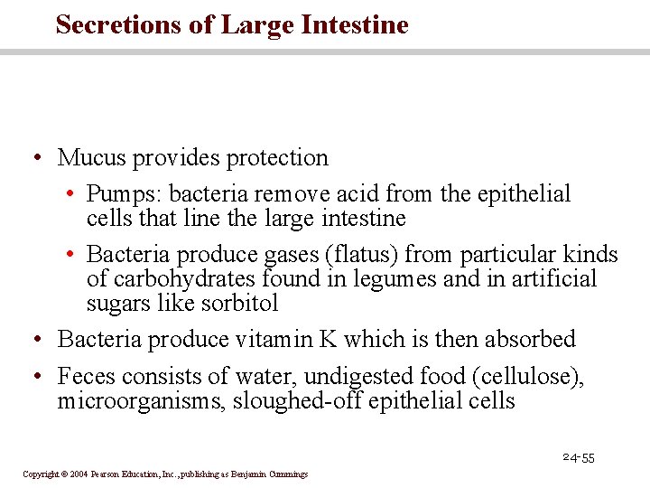 Secretions of Large Intestine • Mucus provides protection • Pumps: bacteria remove acid from