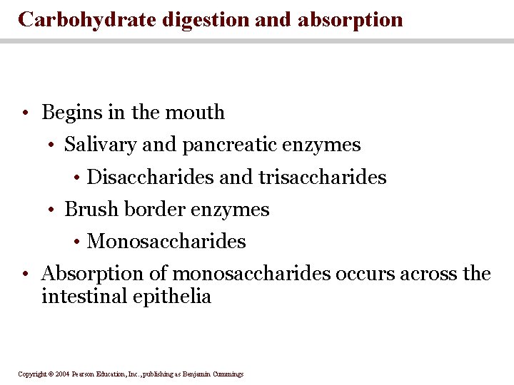 Carbohydrate digestion and absorption • Begins in the mouth • Salivary and pancreatic enzymes