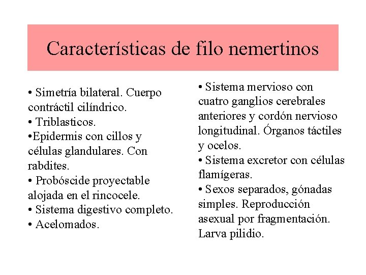 Características de filo nemertinos • Simetría bilateral. Cuerpo contráctil cilíndrico. • Triblasticos. • Epidermis