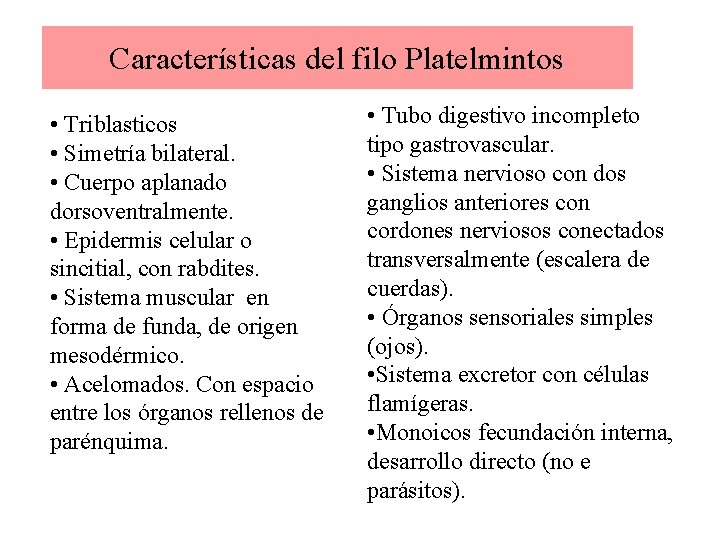 Características del filo Platelmintos • Triblasticos • Simetría bilateral. • Cuerpo aplanado dorsoventralmente. •