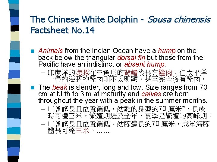The Chinese White Dolphin - Sousa chinensis Factsheet No. 14 Animals from the Indian