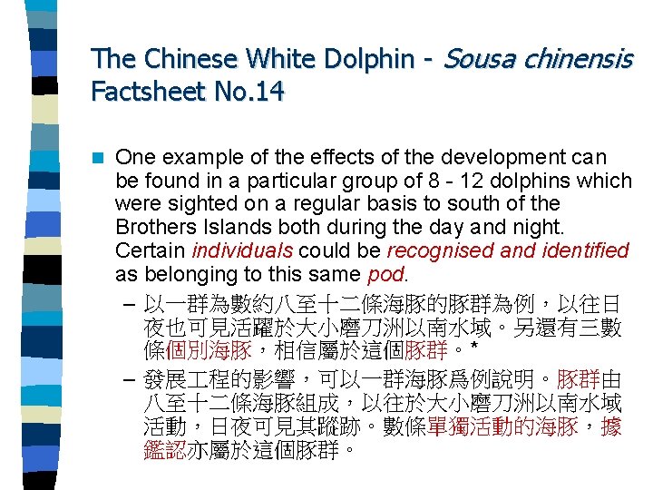The Chinese White Dolphin - Sousa chinensis Factsheet No. 14 n One example of