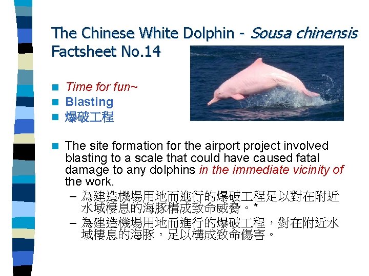 The Chinese White Dolphin - Sousa chinensis Factsheet No. 14 n n n Time