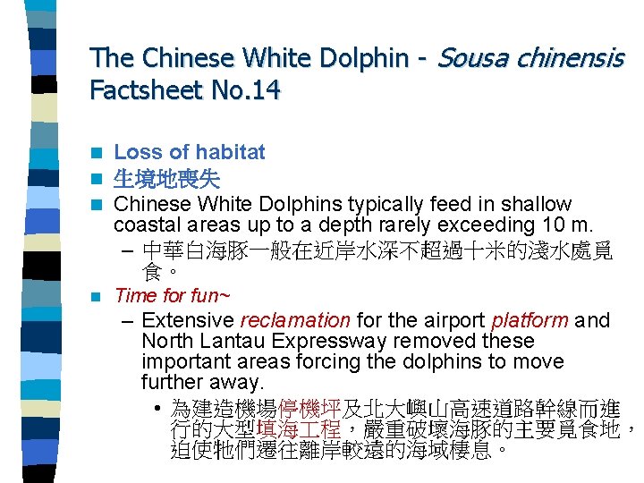 The Chinese White Dolphin - Sousa chinensis Factsheet No. 14 n n n Loss