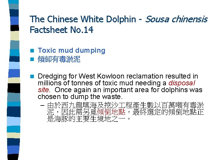 The Chinese White Dolphin - Sousa chinensis Factsheet No. 14 n n Toxic mud