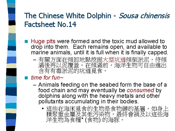 The Chinese White Dolphin - Sousa chinensis Factsheet No. 14 Huge pits were formed