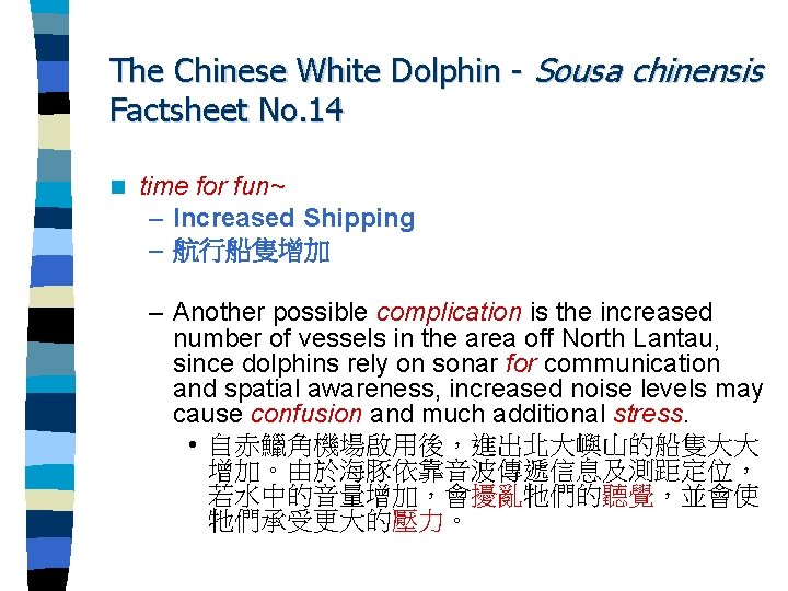 The Chinese White Dolphin - Sousa chinensis Factsheet No. 14 n time for fun~