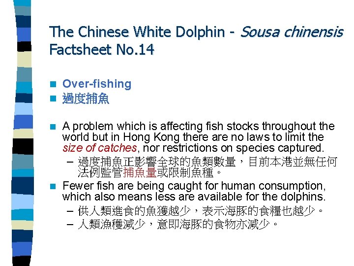 The Chinese White Dolphin - Sousa chinensis Factsheet No. 14 n n Over-fishing 過度捕魚