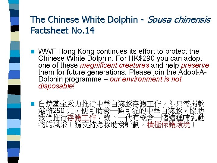 The Chinese White Dolphin - Sousa chinensis Factsheet No. 14 n WWF Hong Kong