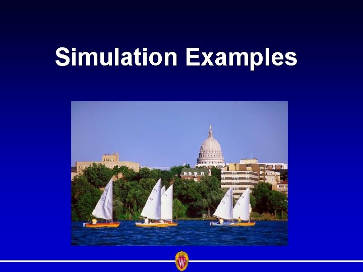 Simulation Examples 
