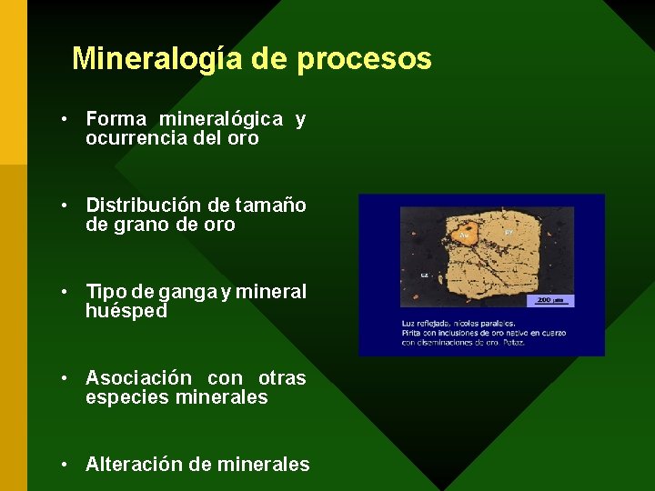 Mineralogía de procesos • Forma mineralógica y ocurrencia del oro • Distribución de tamaño
