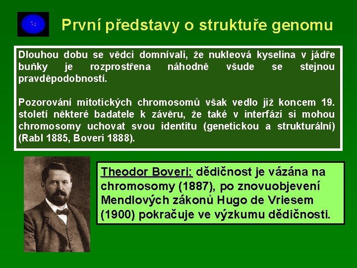 První představy o struktuře genomu Dlouhou dobu se vědci domnívali, že nukleová kyselina v