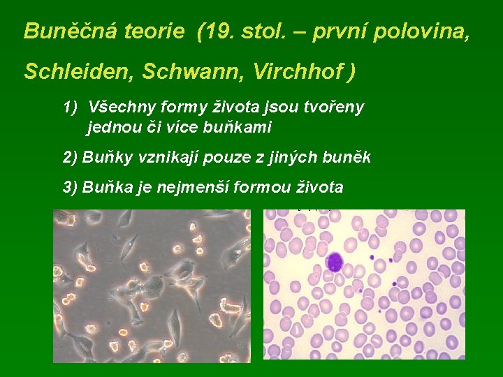 Buněčná teorie (19. stol. – první polovina, Schleiden, Schwann, Virchhof ) 1) Všechny formy