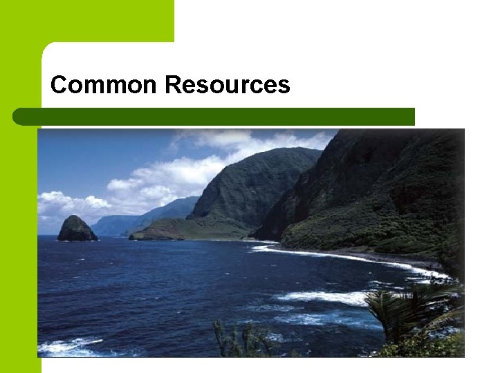 Common Resources 