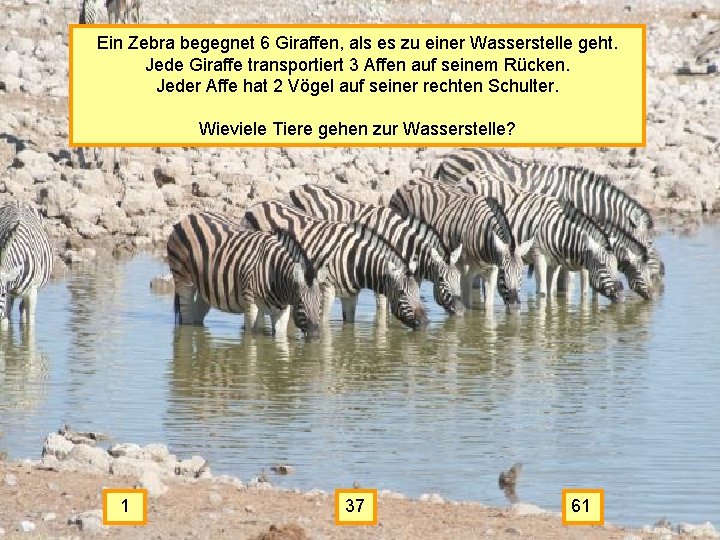 Ein Zebra begegnet 6 Giraffen, als es zu einer Wasserstelle geht. Jede Giraffe transportiert
