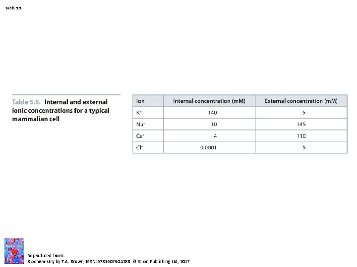 Table 5. 5 Reproduced from: Biochemistry by T. A. Brown, ISBN: 9781907904288 © Scion Table 5. 5 Reproduced from: Biochemistry by T. A. Brown, ISBN: 9781907904288 © Scion