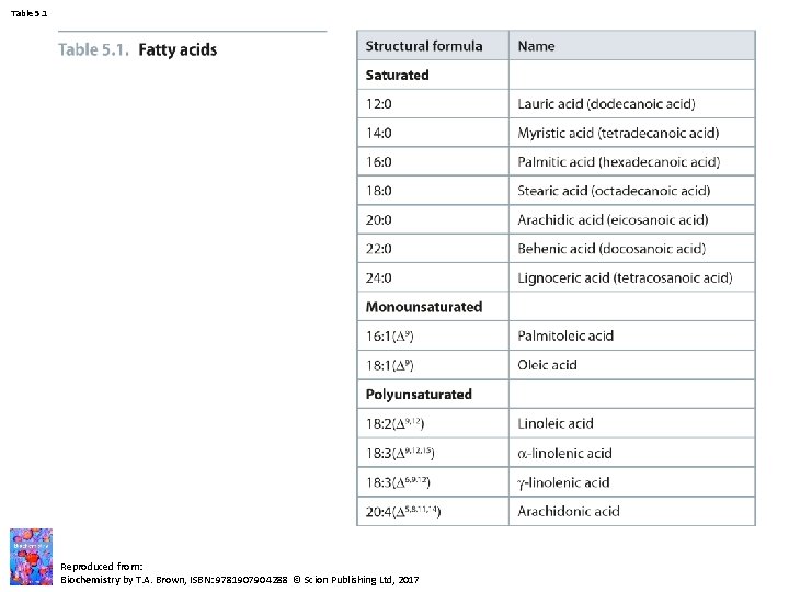 Table 5. 1 Reproduced from: Biochemistry by T. A. Brown, ISBN: 9781907904288 © Scion Table 5. 1 Reproduced from: Biochemistry by T. A. Brown, ISBN: 9781907904288 © Scion