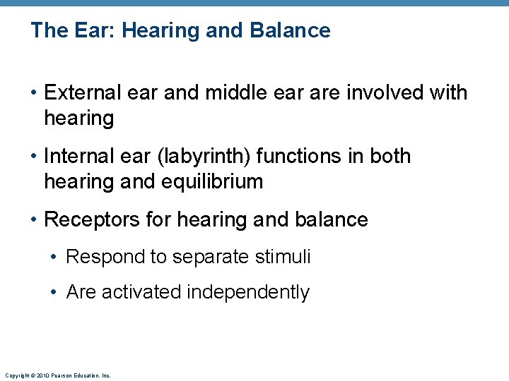 The Ear: Hearing and Balance • External ear and middle ear are involved with