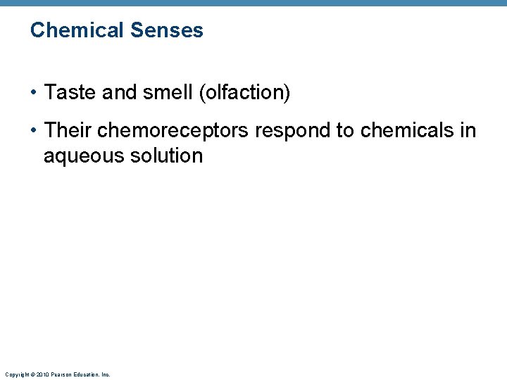 Chemical Senses • Taste and smell (olfaction) • Their chemoreceptors respond to chemicals in