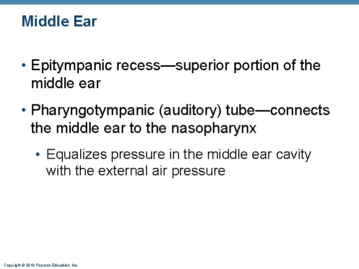 Middle Ear • Epitympanic recess—superior portion of the middle ear • Pharyngotympanic (auditory) tube—connects