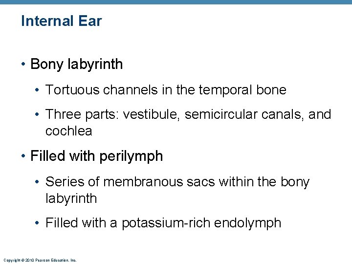Internal Ear • Bony labyrinth • Tortuous channels in the temporal bone • Three