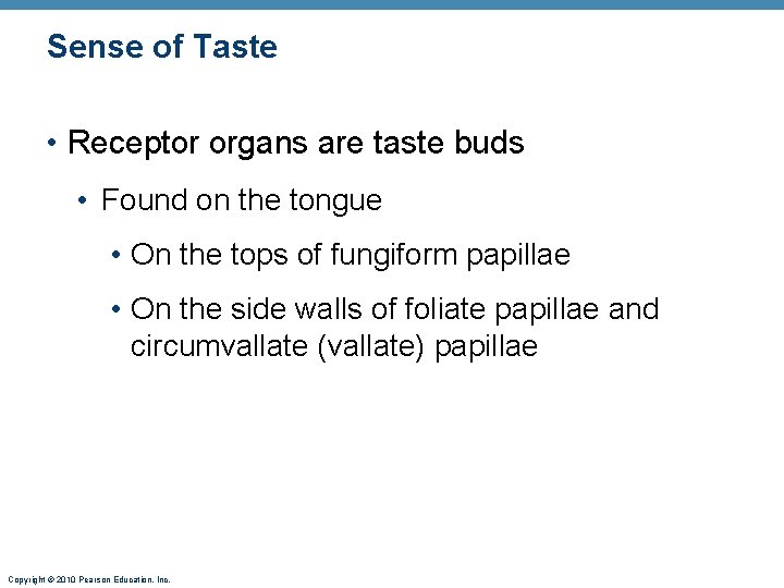 Sense of Taste • Receptor organs are taste buds • Found on the tongue