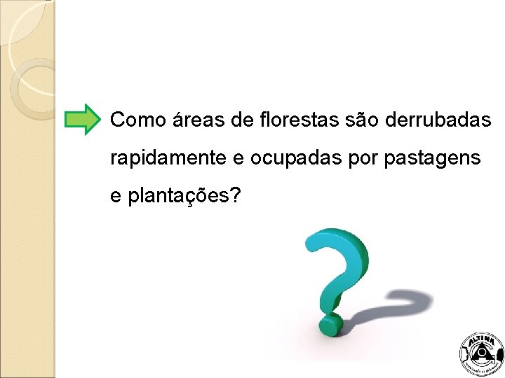 Como áreas de florestas são derrubadas rapidamente e ocupadas por pastagens e plantações? 