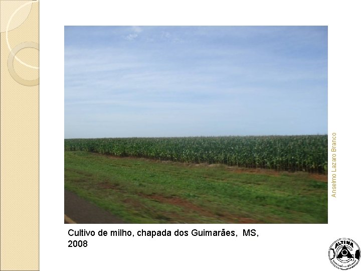 Anselmo Lazaro Branco Cultivo de milho, chapada dos Guimarães, MS, 2008 