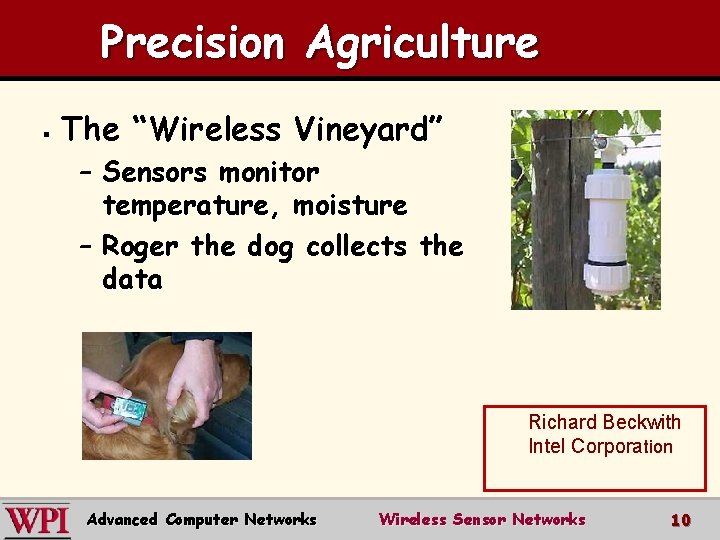 Precision Agriculture § The “Wireless Vineyard” – Sensors monitor temperature, moisture – Roger the