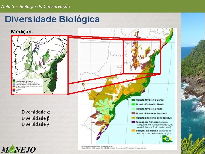 Aula 5 – Biologia da Conservação Diversidade Biológica Medição. Diversidade α Diversidade β Diversidade Aula 5 – Biologia da Conservação Diversidade Biológica Medição. Diversidade α Diversidade β Diversidade