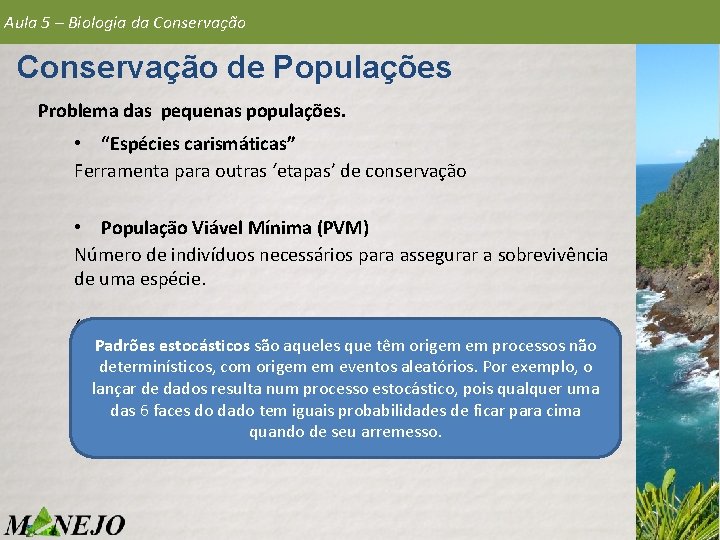 Aula 5 – Biologia da Conservação de Populações Problema das pequenas populações. • “Espécies