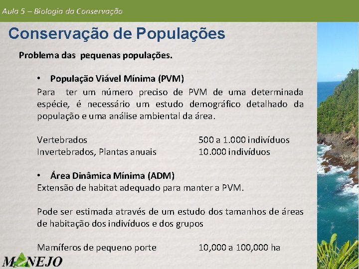 Aula 5 – Biologia da Conservação de Populações Problema das pequenas populações. • População