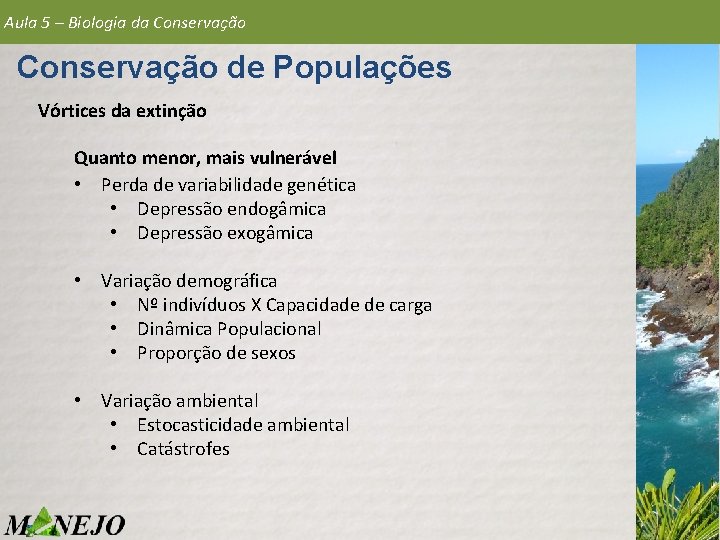 Aula 5 – Biologia da Conservação de Populações Vórtices da extinção Quanto menor, mais