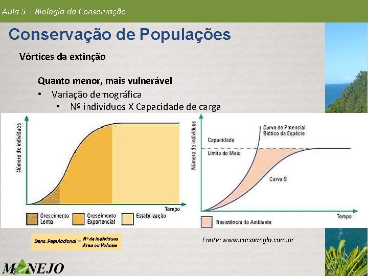 Aula 5 – Biologia da Conservação de Populações Vórtices da extinção Quanto menor, mais