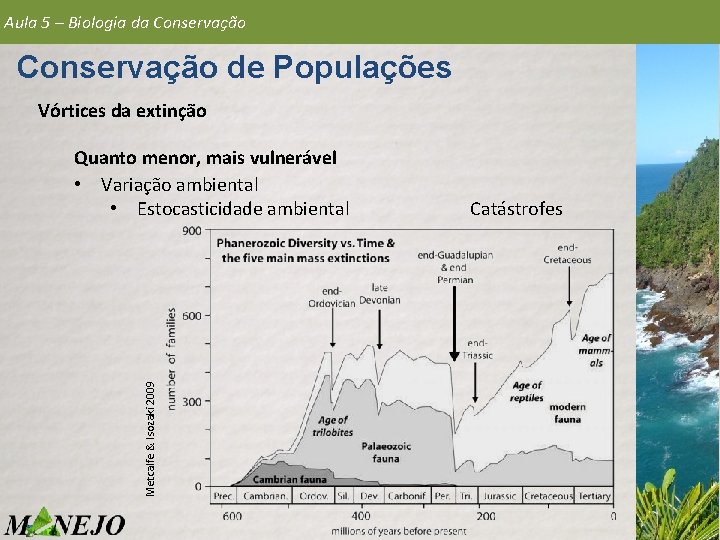 Aula 5 – Biologia da Conservação de Populações Vórtices da extinção Metcalfe & Isozaki