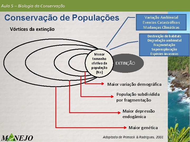 Aula 5 – Biologia da Conservação de Populações Variação Ambiental Eventos Catastróficos Mudanças Climáticas