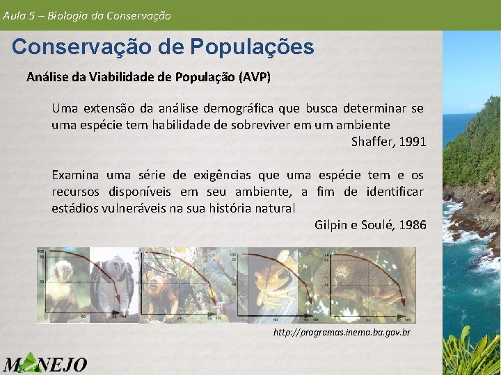 Aula 5 – Biologia da Conservação de Populações Análise da Viabilidade de População (AVP)