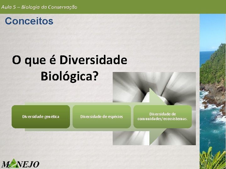 Aula 5 – Biologia da Conservação Conceitos O que é Diversidade Biológica? Diversidade genética