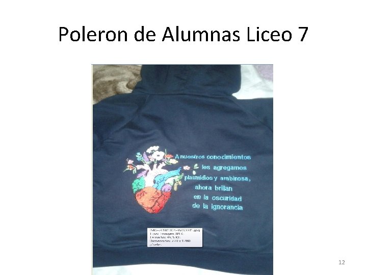 Poleron de Alumnas Liceo 7 12 