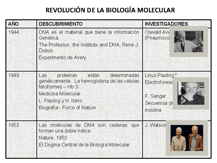 REVOLUCIÓN DE LA BIOLOGÍA MOLECULAR AÑO DESCUBRIMIENTO INVESTIGADORES 1944 DNA es el material que